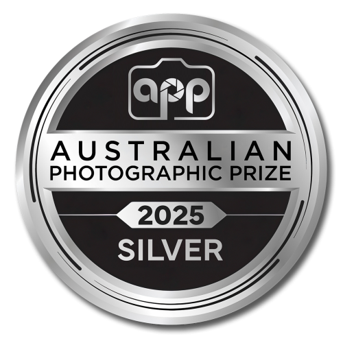 APP25Silver1-ezgif.com-jpg-to-webp-converter boudoir